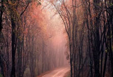 bb贝博体育:萨克组合背靠背夺冠,萨巴首捧杯,小布小郑出战,沙皇萨芬出山.