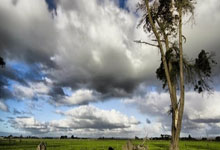 [NBA]多点开花 雷霆大胜开拓者.