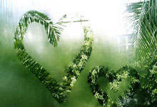 bb贝博体育：中国围棋协会将与韩国共同推动规则合理化国际化.