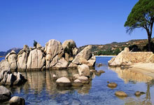 bb贝博体育：黄友政、刘炜珊分获乒乓球全锦赛男、女单打冠军.